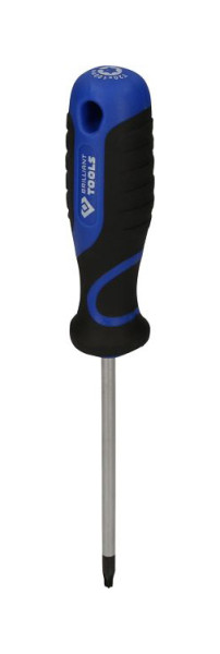 Tournevis Brilliant Tools TORX, T20, BT034907