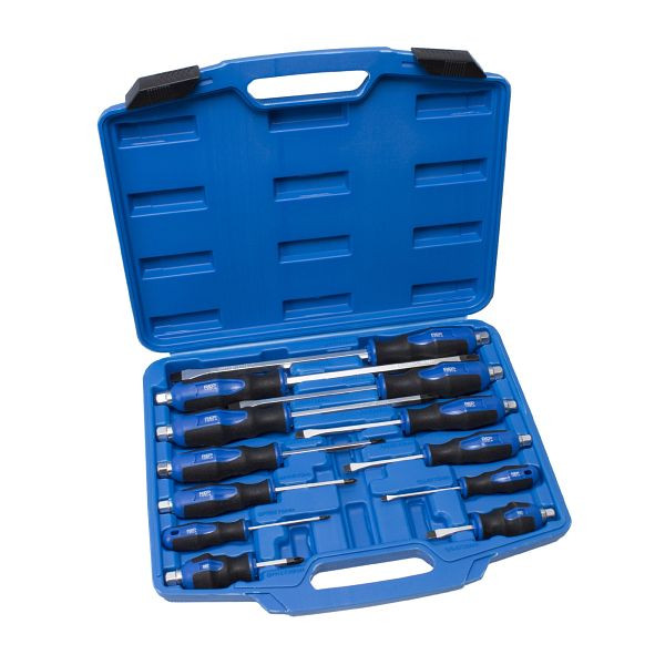 Jeu de tournevis RepTools avec six pans extérieurs, 12 pièces, XXL-119102