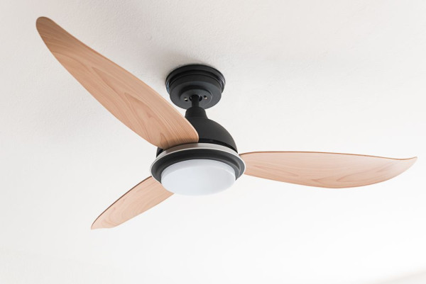 Ventilateur de plafond à économie d'énergie Pepeo Bayu 122 cm avec éclairage LED et télécommande, 1223312017
