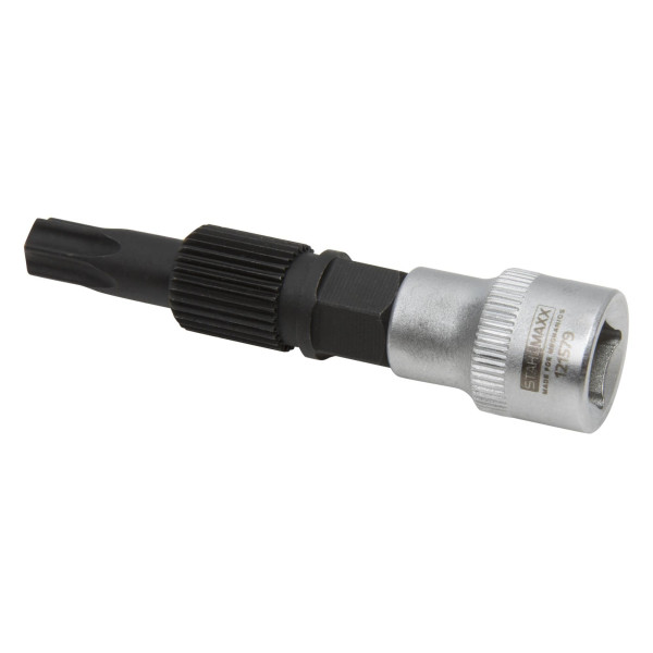 Insert de clé à douille pour roue libre Stahlmaxx LiMa, T50, Ø 14 mm, 31 dents, XXL-121579