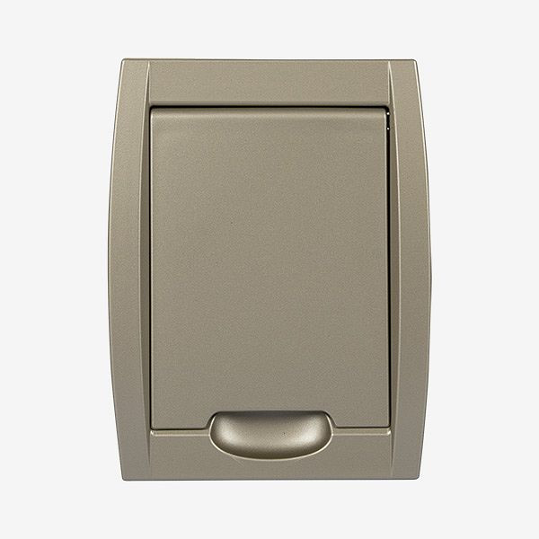 Prise d'aspiration HKW - PREMIUM, champagne, 015720