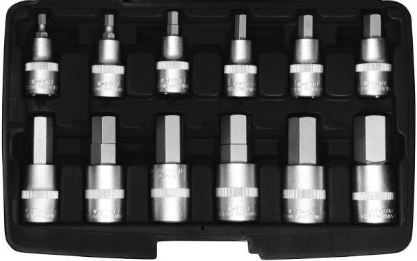 Embouts de tournevis SW-Stahl, 1/2", six pans creux, 5-22 mm, 12 pièces, 04950L