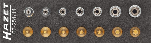 Jeu d'outils Hazet, TORX®, carré creux 6,3 mm (1/4 pouce), profil TORX® extérieur, profil TORX® intérieur, E4 - E11, T10 - T40, nombre d'outils : 14, 163-251/14