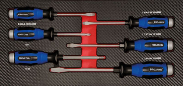 Insert de tournevis Projahn "mixte" 6 pièces avec lame continue, 5999-061