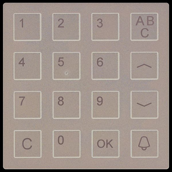 Module clavier TCS série AMI, noir, AMI10300-0057