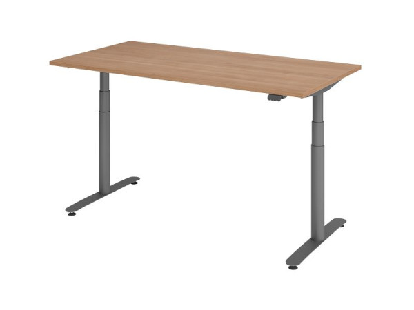 Hammerbacher bureau assis-debout électrique 160x80cm noyer/graphite, VXDLR16/N/G
