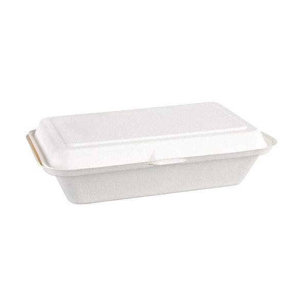 Canne à sucre compostable Fiesta Green avec récipient à couvercle à charnière 24,8 cm, UE: 250 pièces, DW249