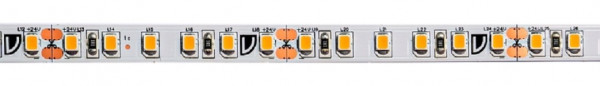 rutec Projekt rutec VARDAflex Superior Plus - 5 - mètres - rouleau Flex. Ruban LED, 24V, 9,6W/m, intérieur, 2400K CRI98, PGI142