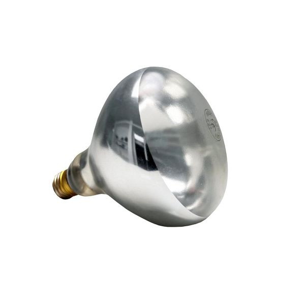Ampoule de rechange APS pour lampe chauffante, E27, blanc chaud, 250 W, Ø 12,5 cm, 12266