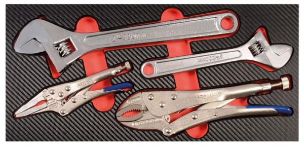 Pince-étau Projahn et insert de clé à molette, 4 pièces, 5999-171