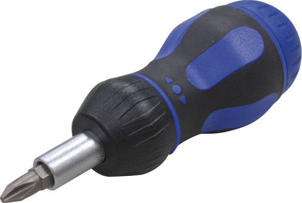Tournevis à cliquet Projahn 1/4 "avec compartiment pour embouts et 7 embouts, 4193