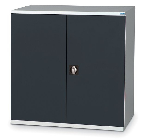 Armoire à portes battantes SOFAME L 1000 x P 500 x H 1000 mm, avec 2 étagères, gris clair RAL 7035/gris clair RAL 7035, W030020003GCGC