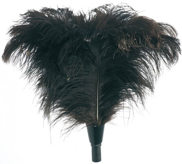 UNGER StarDuster® plumeau, plume d'autruche, UE : 6 pièces, FEDU0