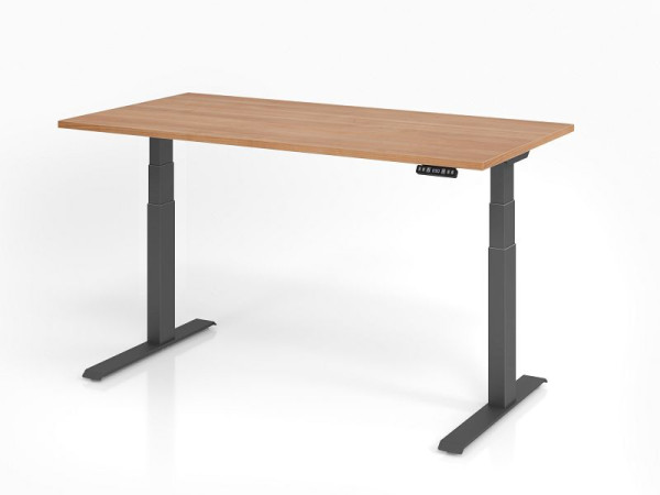 Bureau Hammerbacher XDKB16, 160 x 80 cm, plateau : noyer, épaisseur 25 mm, chant épais en ABS, forme rectangulaire, graphite, VXDKB16/N/G