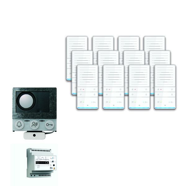 Système de commande de porte audio TCS : pack installation pour 12 unités résidentielles, avec haut-parleur intégré ASI12000, 12x haut-parleur mains libres ISW5031, unité de contrôle BVS20, PAIF120 / 002