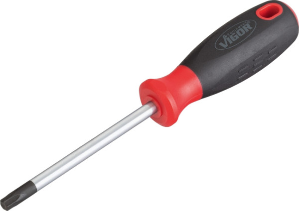 Tournevis TORX VIGOR, profil TORX interne, T40, V3393