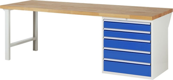 Etabli RAU série 7000 - modèle 7613, L2500 x P900 x H890 mm, base système L2500 x P850 x H850 mm, 03-7613A1-259B4M.11