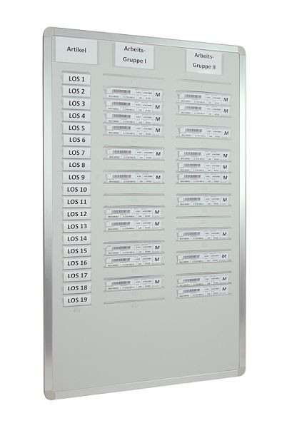 Carte enfichable Eichner "Orga-Easy" pour documents DIN A 5, gris clair, deux rangées, 9089-00004