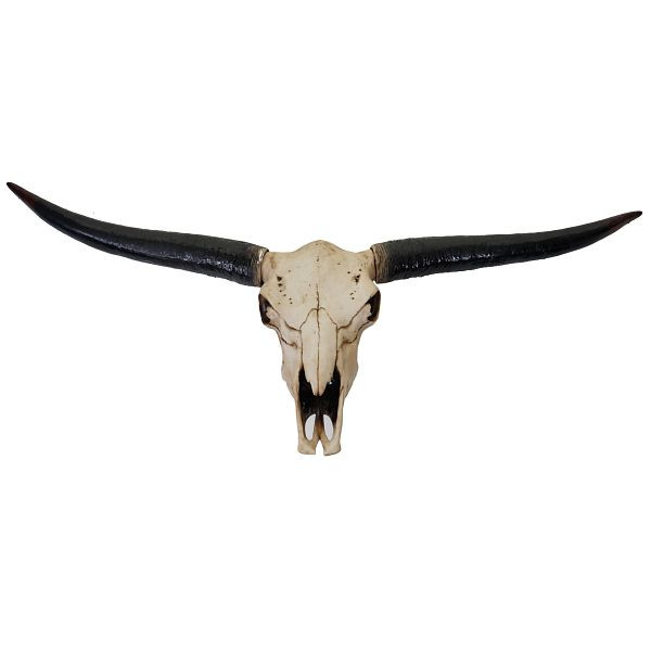 Tête de mort décorative Mendler 132cm HWC-A14, trophée tête de taureau longhorn en polyrésine, intérieur/extérieur, couleur naturelle, 57118