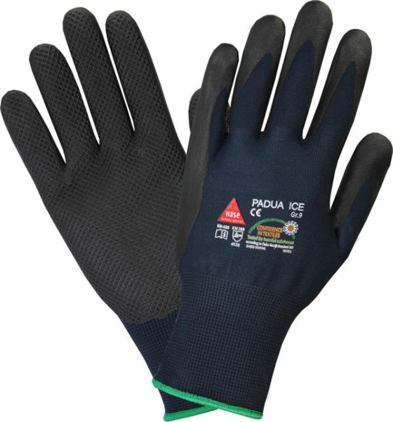 Hase Safety PADUA ICE, 100% nylon, CE CAT II, EN 420, EN 388, taille : 10, UE : 12 paires, 508660-10