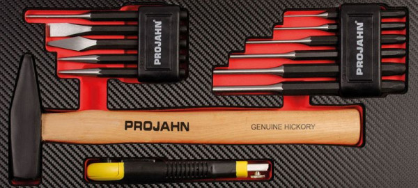 Insert d'outil de frappe Projahn 13 pièces, 5999-461