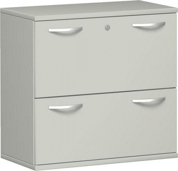 geramöbel classeur 2 dossiers suspendus avec verrouillage centralisé et serrure de tiroir, 800x425x768, gris clair/gris clair, N-10HR208-LL