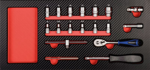 Jeu d'outils Projahn 1/4 "Xi-on insert 18 pièces, 5999-511