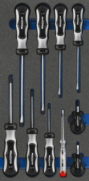 Insert à outils Bedrunka+Hirth, jeu de tournevis, 10 pièces, dimensions en mm (LxPxH) : 400 x 200 x 25, 08.89.207