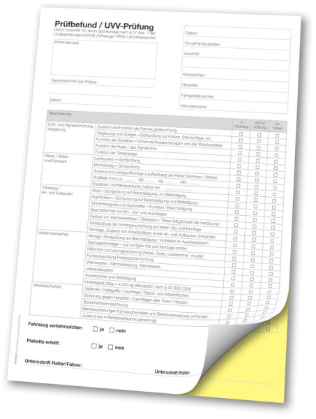 Rapport de test Eichner Test UVV, DIN A4, kits SD, double, bloc de 50 kits, 9096-00202