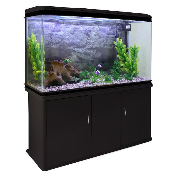 KuKoo Kit complet de démarrage pour aquarium comprenant accessoires et gravier naturel, 25172