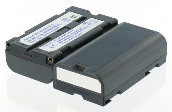 Batterie AGI compatible avec PANASONIC NV-DX110, 12184
