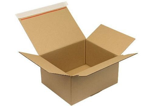 Boîte pliante automatique TransPak, 1 paroi, avec fermeture SK, 260 x 220 x 130 mm, qualité 1.30B, paquet de 40, 299446