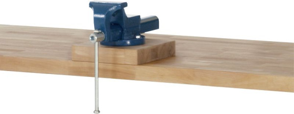 Pied d'étau RAU en hêtre massif, L250 x P250 x S50 mm, 09-SCH50