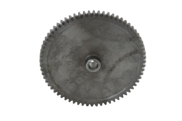 ELMAG engrenage (ACIER), 9802220
