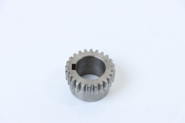 Engrenage interchangeable ELMAG 24 dents, pour Profi 1000/200HD, 9808521