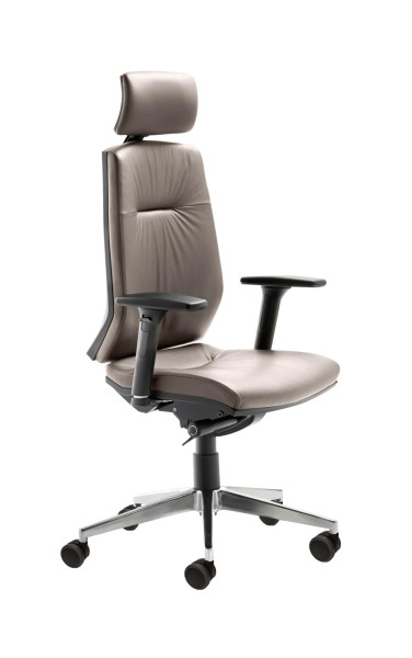 Chaise pivotante Mayer Sitzmöbel , dossier réglable en hauteur sur 7 positions, appui-tête réglable, roulettes pour sols durs, siège à disque intervertébral, taupe, 2480_BS_ROG_81024