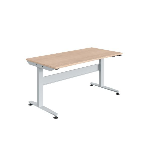 Table de travail SOFAME REGULOG, réglable en hauteur électriquement, 1200 x 750 x 724 à 1124 mm, plan de travail multiplex 24 mm, gris clair RAL 7035, W010140003GC