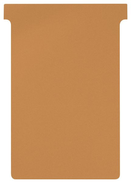 Cartes T Eichner pour toutes les cartes système T-card - taille XL, orange, UE : 100 pièces, 9096-00022