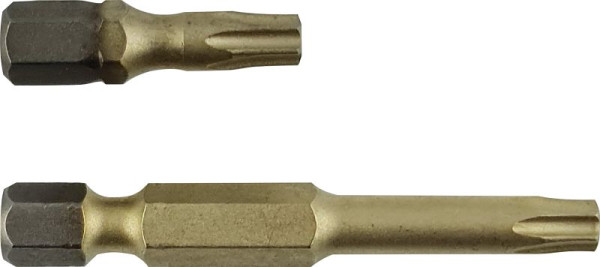 Embout Projahn 1/4" STAR longueur 25mm TX10 ZrN lot de 10, 1780310-10