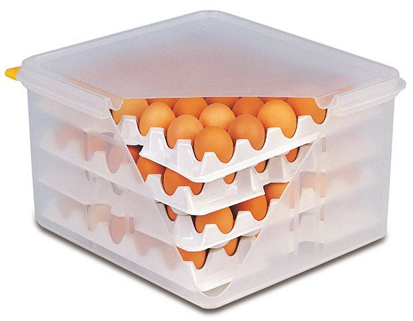 Boîte à œufs APS GN 2/3, 35,4 x 32,5 cm, hauteur : 20 cm, polypropylène (boîte + couvercle), polystyrène (inserts), avec couvercle hermétique, 82419