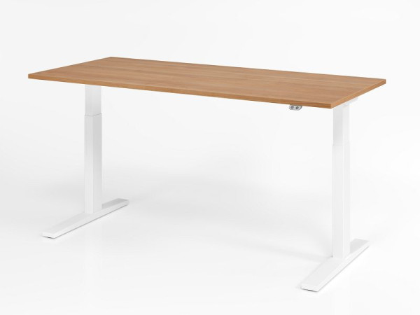 Bureau Hammerbacher XMKA19, 180 x 80 cm, plateau : noyer, épaisseur 25 mm, chant épais en ABS, forme rectangulaire, blanc, VXMKA19/N/W