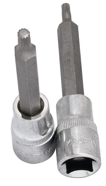 Kraftwerk Douille à embouts multidents 1/2" M5 100 mm, 338005