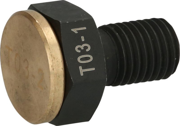 Vis KS Tools avec capuchon impact, 460.0908