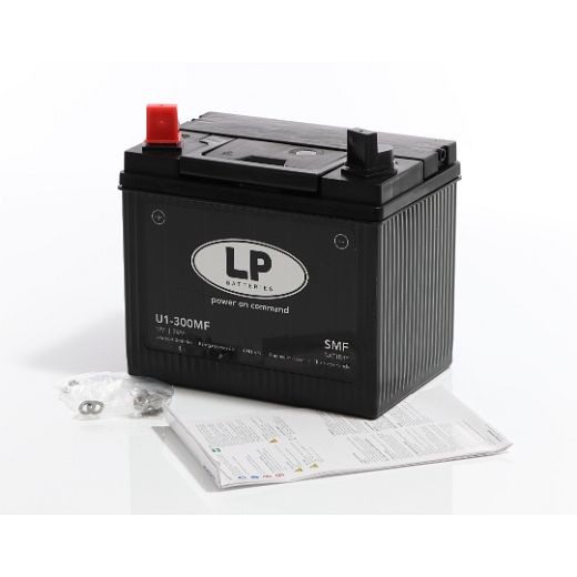 Batterie ELMAG 12 V-24 Ah 'sans entretien' pour groupes électrogènes, 9503001