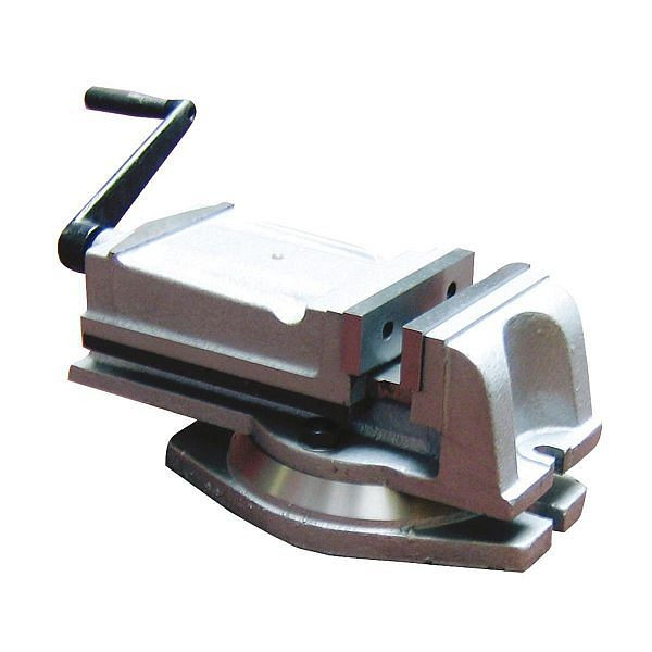 Étau de machine Holzmann avec plateau rotatif, I125
