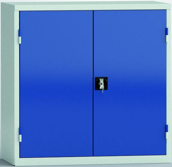 Armoire universelle KLW, 1000 x 1000 x 490 mm, portes battantes, 2 étagères, 7FN-NH1000TD-0204XRB