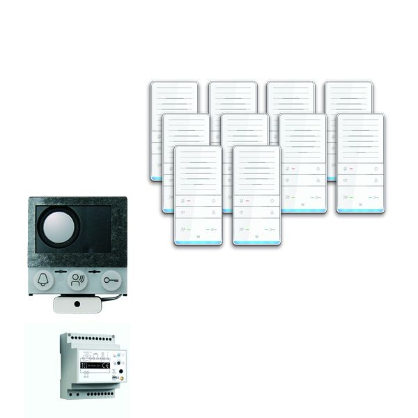 Système de contrôle de porte audio TCS : pack installation pour 10 unités résidentielles, avec haut-parleur intégré ASI12000, 10x haut-parleur mains libres ISW5031, unité de contrôle BVS20, PAIF100 / 002