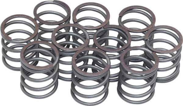 Ressort Hazet, jeu de 10 pièces pour 9012 SPC, poids net : 0,09 kg, 9012SPC-05/10