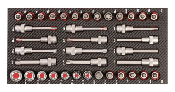 Insert spécial véhicule Projahn 1/2 "38 pièces, 5999-191