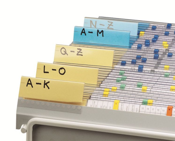Cartes-guides Eichner pour dossier suspendu armature métallique, A4 paysage, 9035-00056